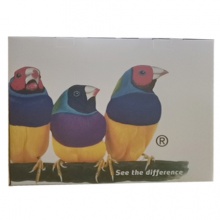 優(yōu)派一體機C24電腦一體機家用辦公臺式主機i5i7網(wǎng)吧游戲8G曲面